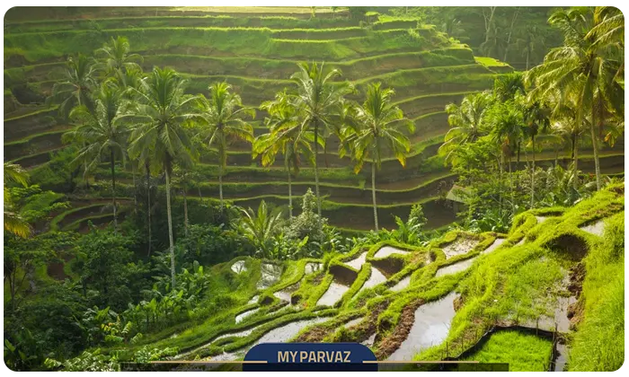Natural attractions bali